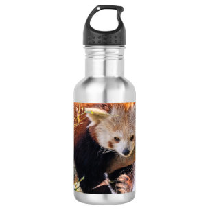 Lazy little red panda 532 ml water bottle