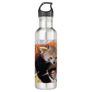 Lazy little red panda 710 ml water bottle