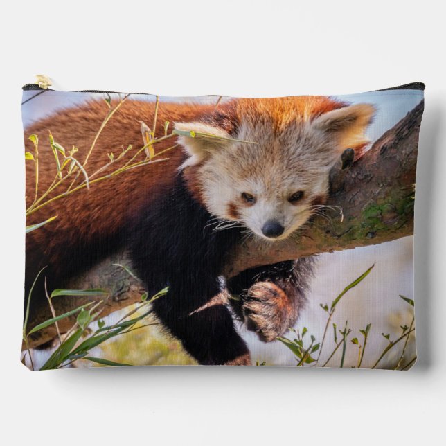 Lazy little red panda accessory pouch (Front)