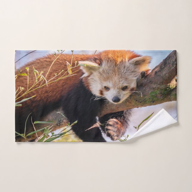 Lazy little red panda bath towel set (Hand Towel)