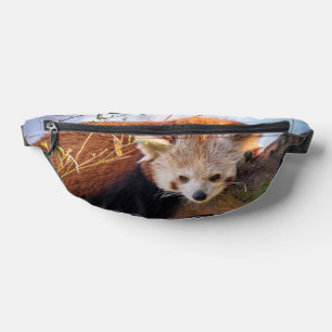 Lazy little red panda bum bags
