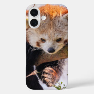 Lazy little red panda iPhone 16 case