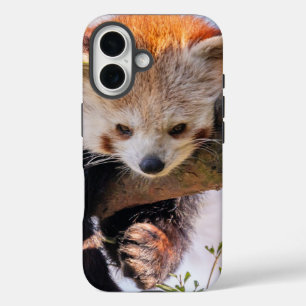 Lazy little red panda iPhone 16 case