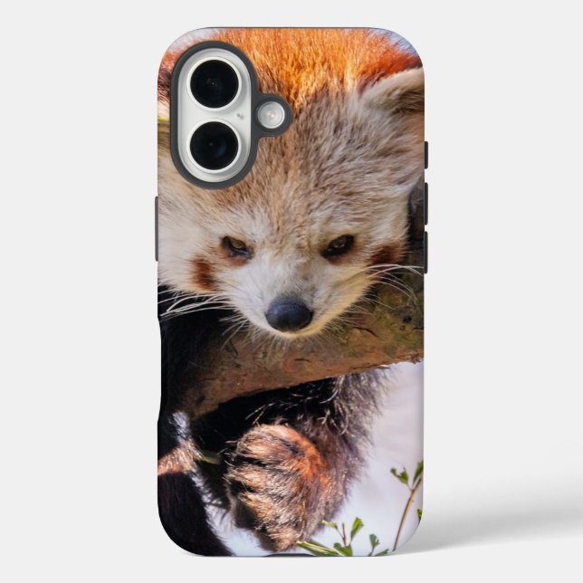 Lazy little red panda Case-Mate iPhone case (Back)