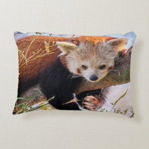 Lazy little red panda decorative cushion