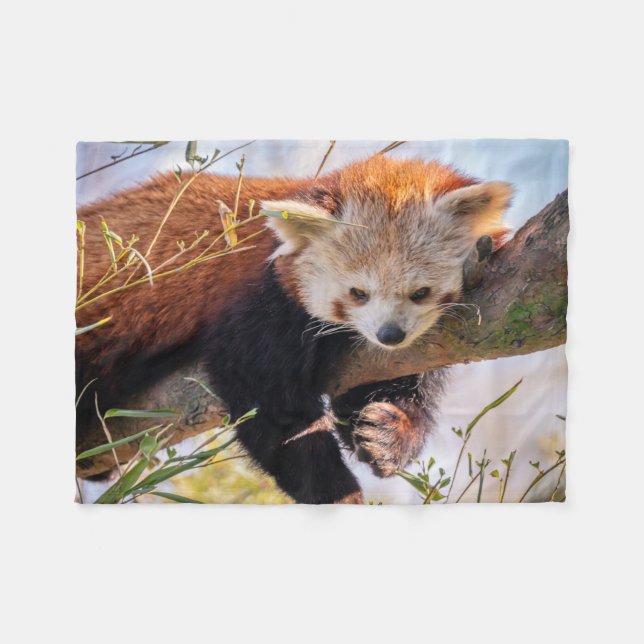Lazy little red panda fleece blanket (Front (Horizontal))