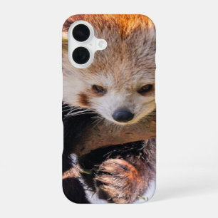Lazy little red panda iPhone 16 case