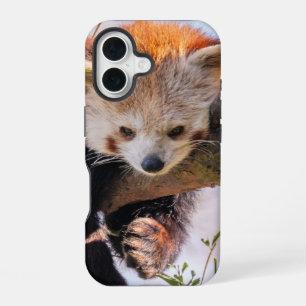 Lazy little red panda iPhone 16 case