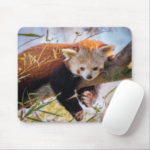 Lazy little red panda mouse mat