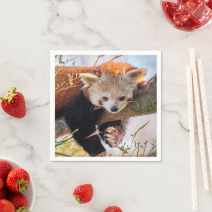 Lazy little red panda napkin
