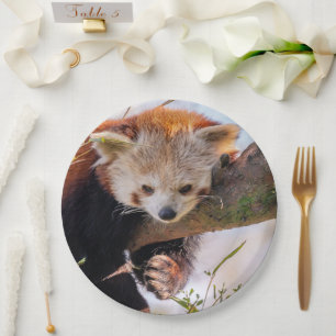 Lazy little red panda paper plate