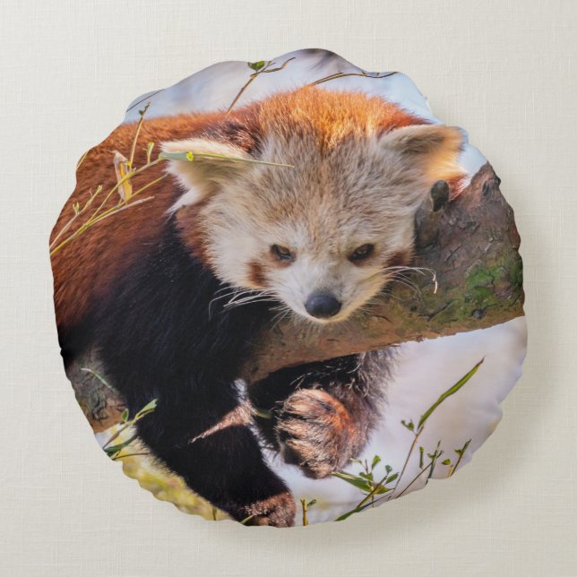 Lazy little red panda round cushion (Back)