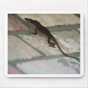 Lazy Lizard Mouse Mat