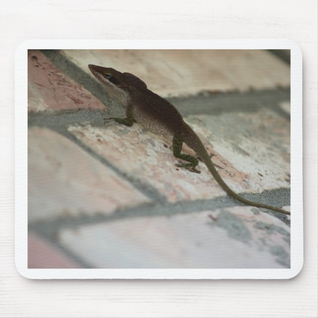Lazy Lizard Mouse Mat (Front)