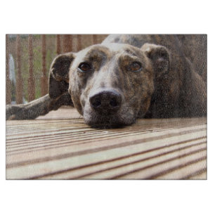Lazy Lurcher Cutting Board
