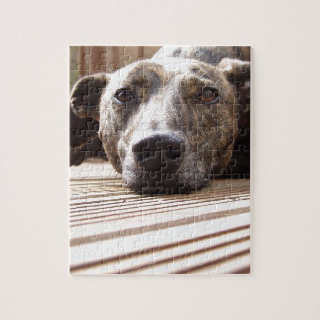 Lazy Lurcher Jigsaw Puzzle (Vertical)
