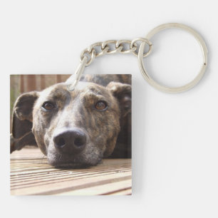 Lazy Lurcher Key Ring
