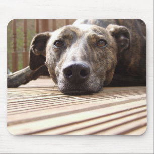 Lazy Lurcher Mouse Mat