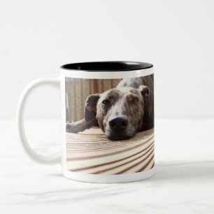 Lazy Lurcher Two-Tone Coffee Mug