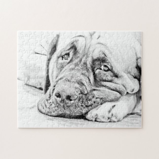 Lazy Mastiff Jigsaw Puzzle (Horizontal)