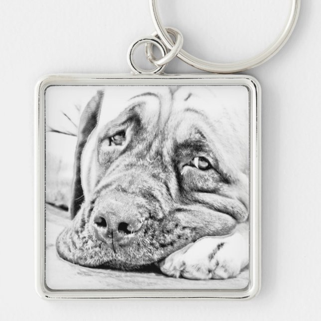 Lazy Mastiff Key Ring (Front)