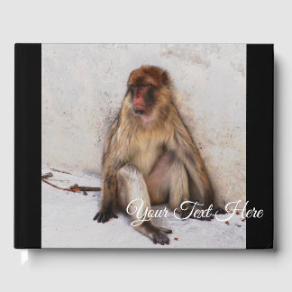 Lazy Monkey Guest Book