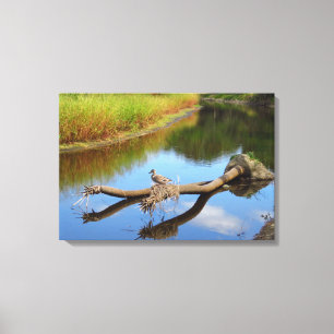 Lazy River Canvas Print