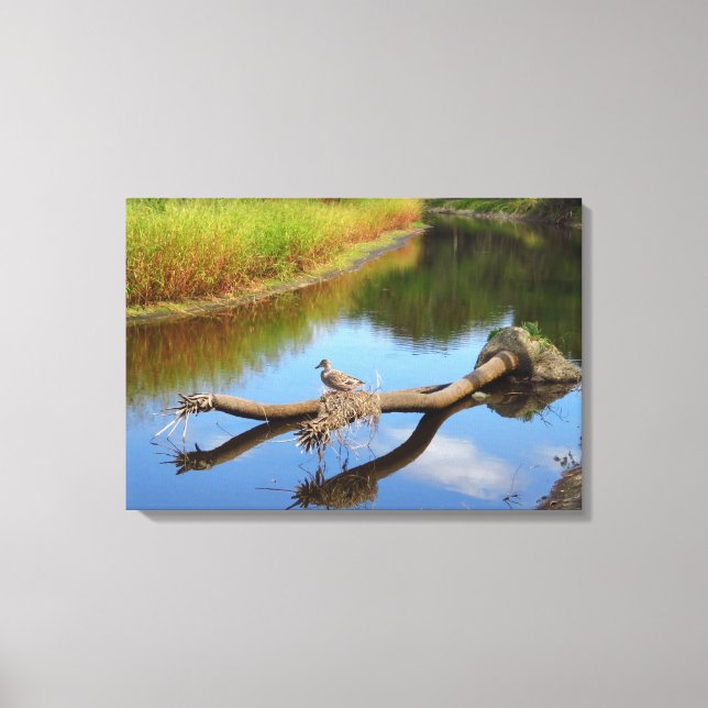 Lazy River Canvas Print (Front)