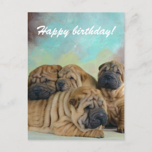 Lazy shar pei Happy birthday! card