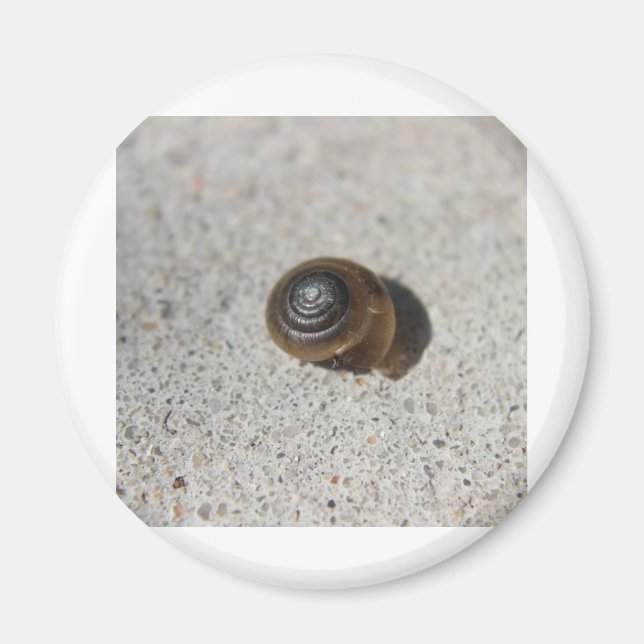 Lazy Snail Magnet (Front)