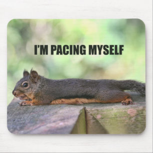 Lazy Squirrel Photo Mouse Mat