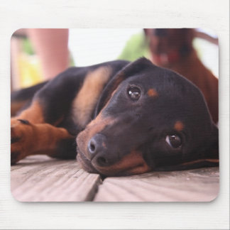 Lazy Summer Day Mouse Mat