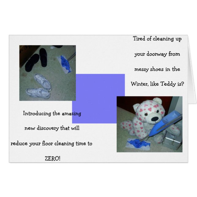 Lazy Teddy Bear Cleaning (Front Horizontal)
