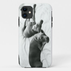 Lazy Weimaraners iPhone 11 Case