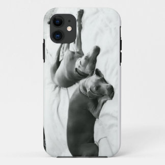 Lazy Weimaraners iPhone 11 Case