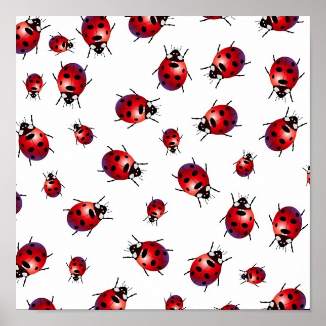 lbirds poster (Front)