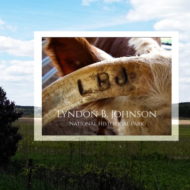 LBJ Horn Brand, Lyndon B. Johnson NHP Postcard (Creator Uploaded)