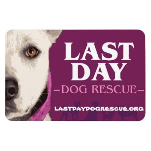 LDDR 4"x 6" logo magnet