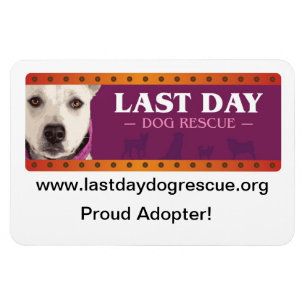LDDR Car Magnet - Proud Adopter