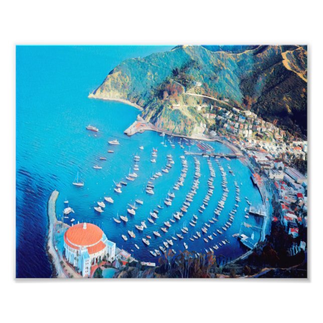 ldp SANTA CATALINA Island - California - harbour Photo Print (Front)
