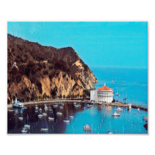 ldp SANTA CATALINA ISLAND - harbour - Photo Print