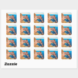 ldp VERNAZZA - Cinque Terre - Square Sticker