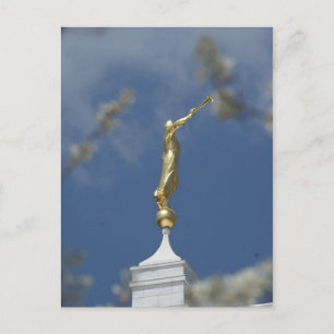 LDS Temple Postcard