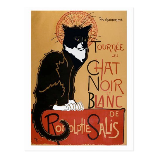 Le Chat Noir Et Blanc Postcard Zazzle Co Uk