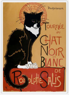 Le Chat Blanc Gifts Gift Ideas Zazzle Uk Le Chat Blanc Gifts Gift Ideas Zazzle Uk