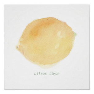 le citron poster
