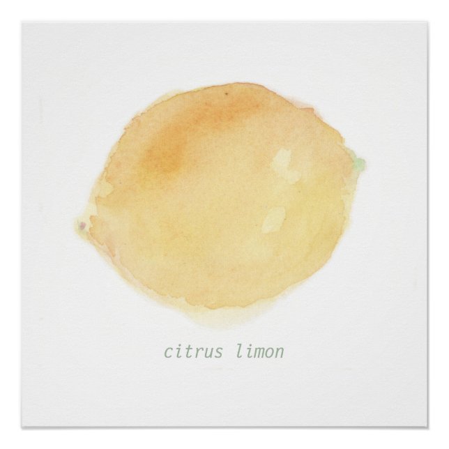 le citron poster (Front)