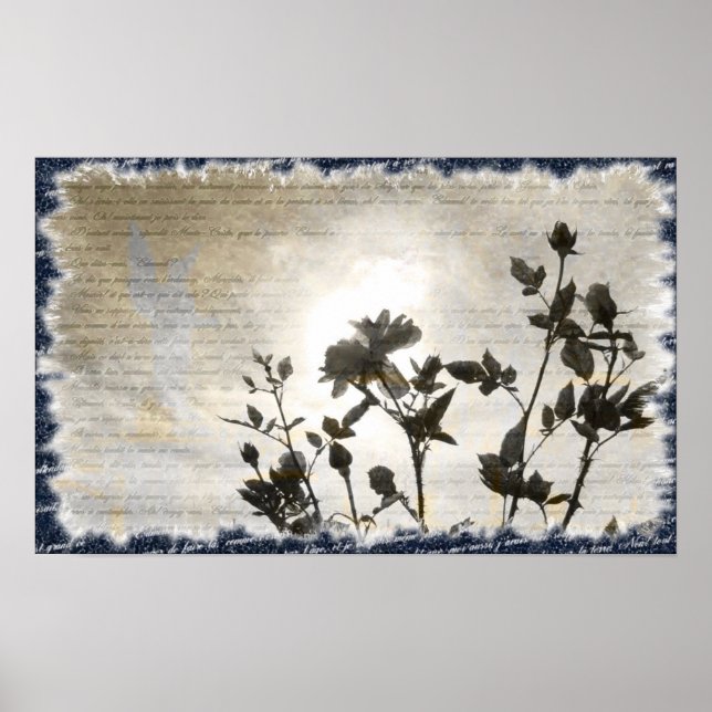 Le Comte de Monte-Cristo Poster (Front)