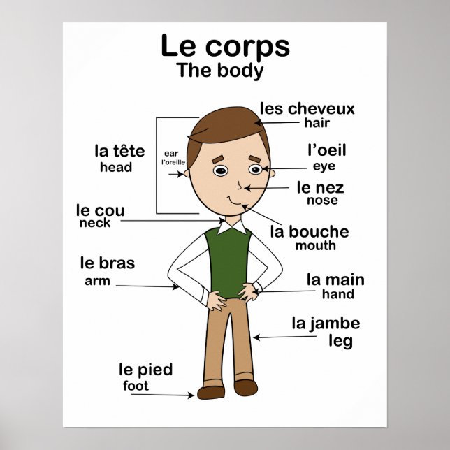 Le corps the body French English Educational Poster (Front)