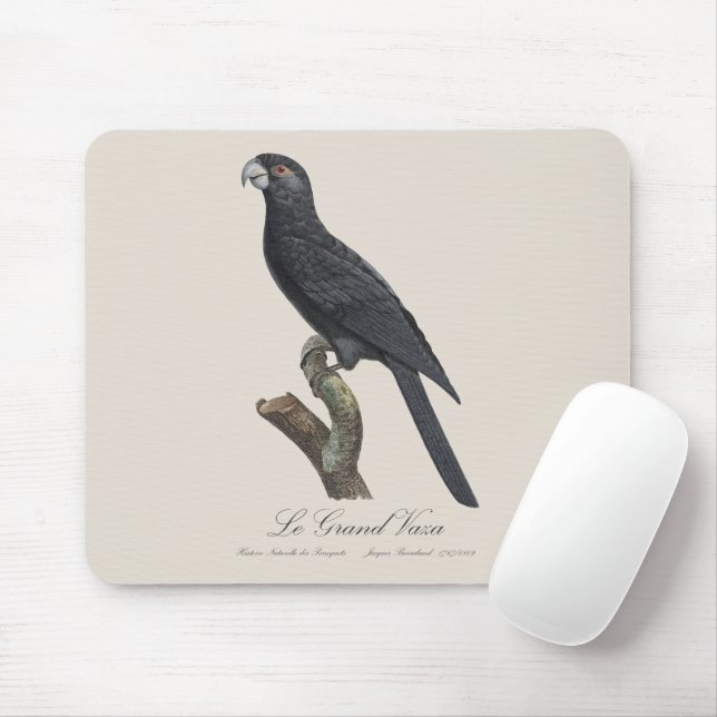 Le Grand Vaza / Greater Vasa Parrot Mouse Mat (With Mouse)